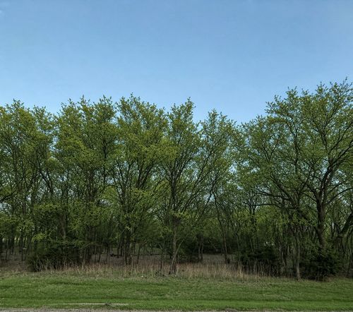 8093 Canja Dr, Fort Worth, TX, 76126-5333 | Card Image