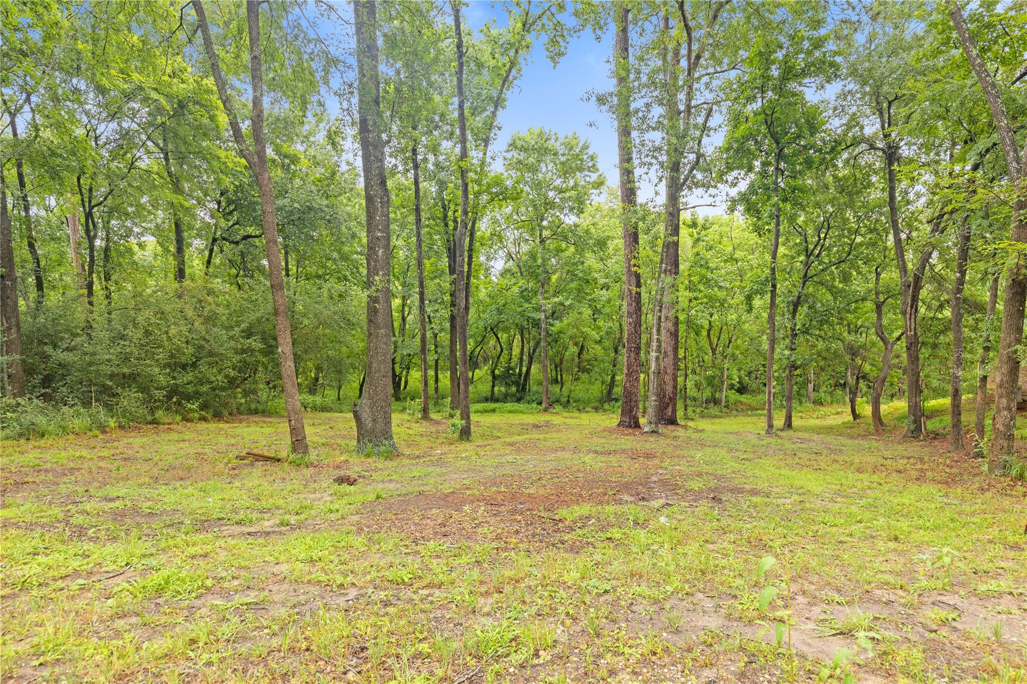 Land in Huntsville 3