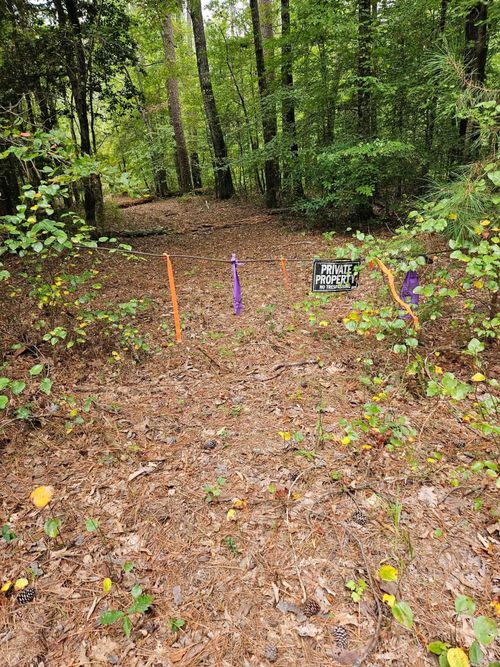 E 28 Acres Dallas 203, Carthage, AR, 71725 | Card Image