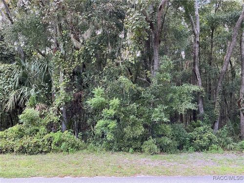 12 S Bauer Rd, Lecanto, FL, 34461-8078 | Card Image
