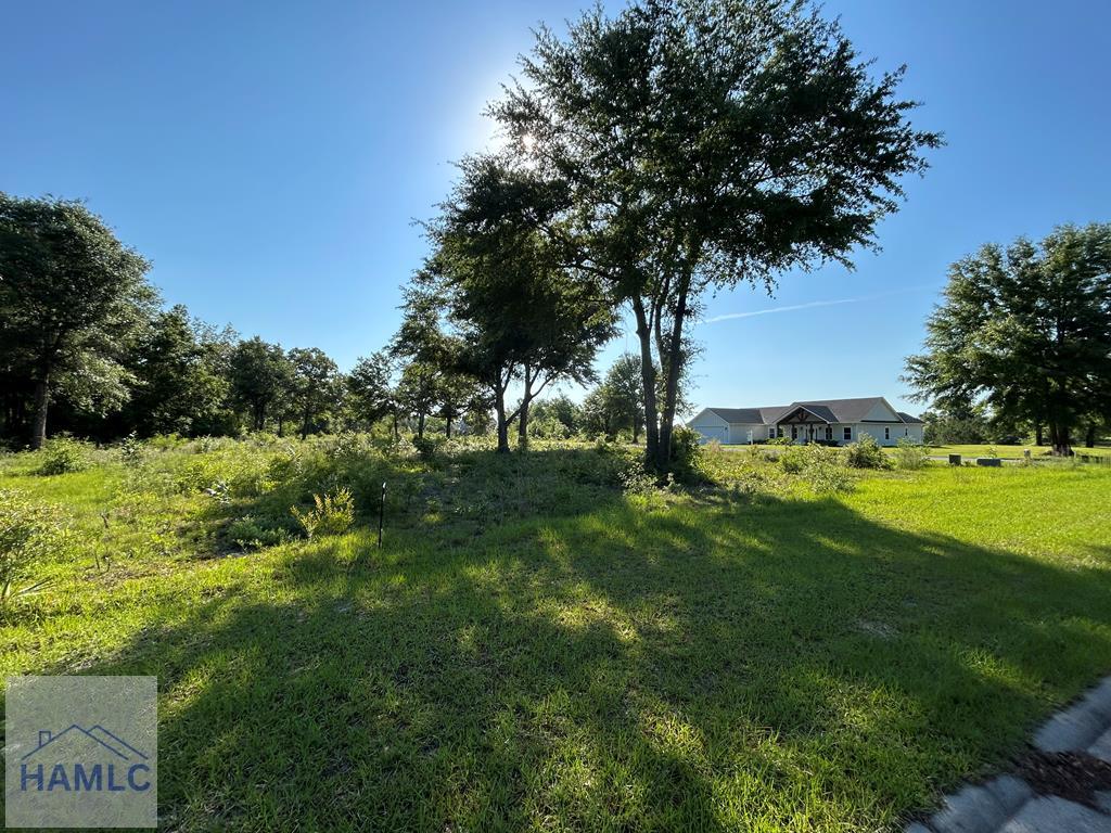 Land in Jesup 5