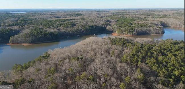 0 Lower Glass Bridge Rd, Home with 0 bedrooms, 0 bathrooms and null parking in Lagrange GA | Image 4