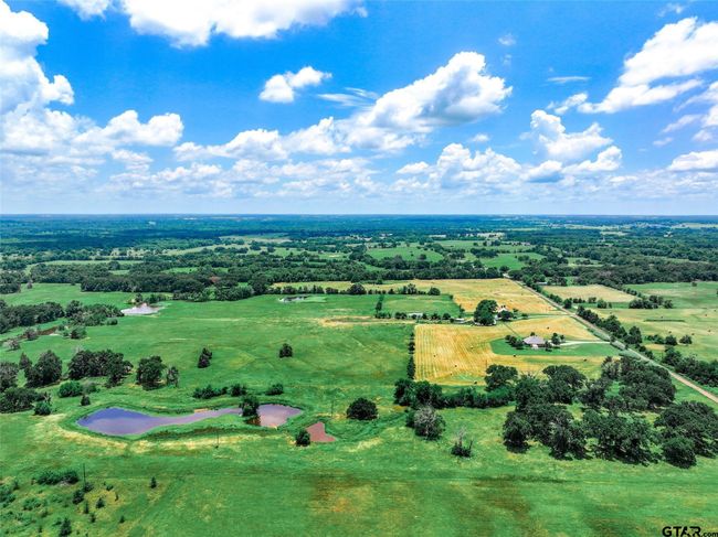 20 Acres County Road 3533, Home with 0 bedrooms, 0 bathrooms and null parking in Saltillo TX | Image 15