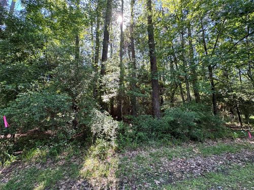 16 Forest Holw, Trinity, TX, 75862-8120 | Card Image