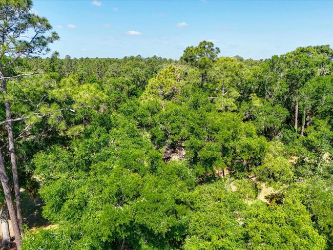 0 Carter Rd, Home with 0 bedrooms, 0 bathrooms and null parking in Saint Augustine FL | Image 19