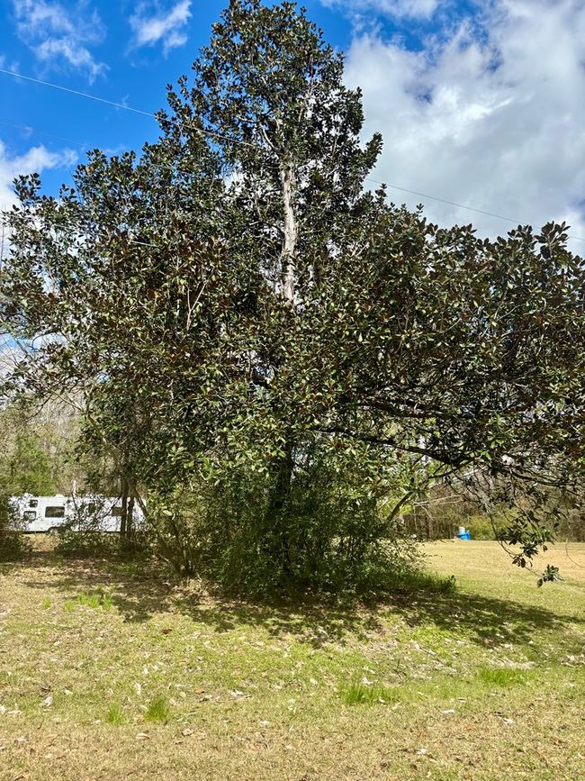 101 Will Thompson Rd, Home with 0 bedrooms, 0 bathrooms and null parking in Picayune MS | Image 9