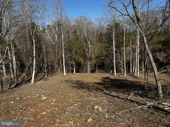 2331 Orange Rd, House other with 3 bedrooms, 2 bathrooms and null parking in PRATTS VA | Image 46