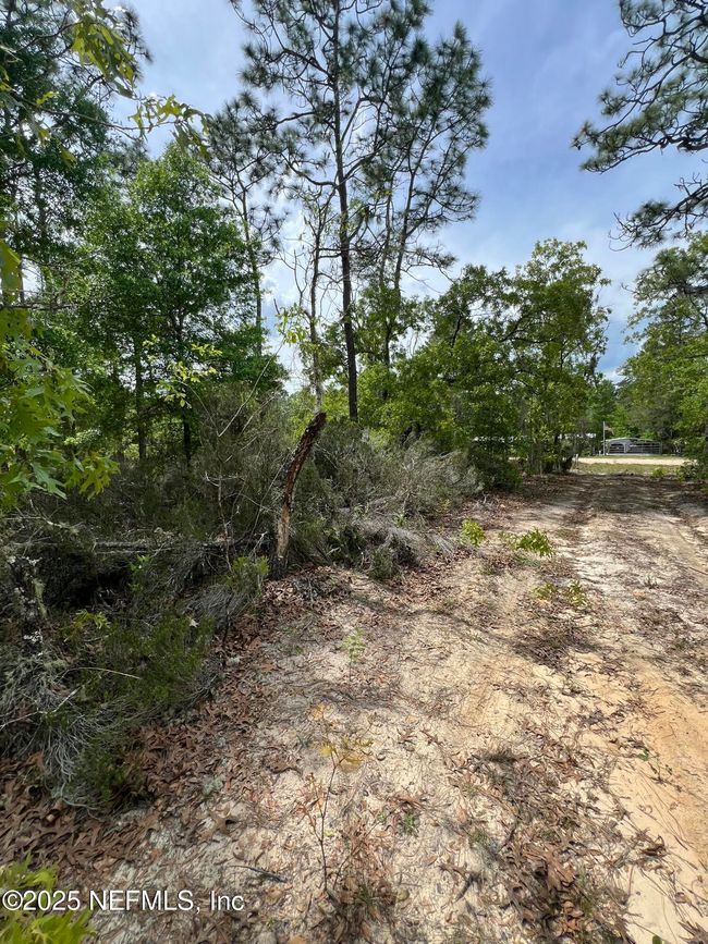 110 Slipper Way, Home with 0 bedrooms, 0 bathrooms and null parking in HAWTHORNE FL | Image 6