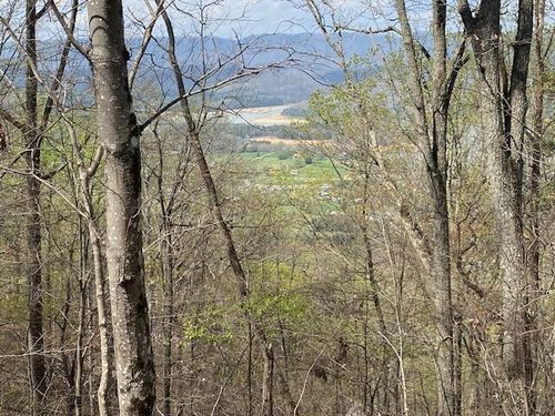 155 Chelaque Way, Mooresburg, TN, 37811-2658 | Card Image