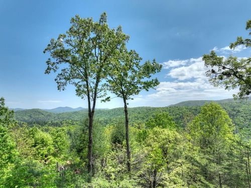 46 Cochise Road, Blue Ridge, GA, 30513 | Card Image