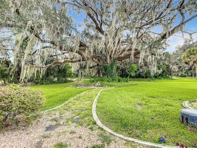 1281 N Timucuan Trl, House other with 3 bedrooms, 2 bathrooms and null parking in INVERNESS FL | Image 62