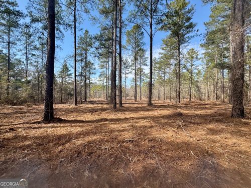 0 Mosley Bridge Rd, Claxton, GA, 30417 | Card Image