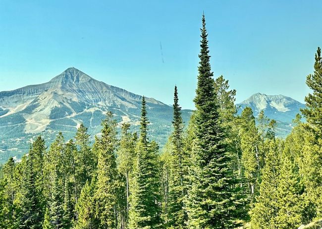 Summer view of Lone and Fan Mountains. | Image 89