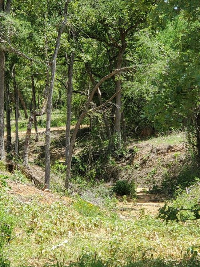 21 Cr 389, Home with 0 bedrooms, 0 bathrooms and null parking in Jewett TX | Image 10
