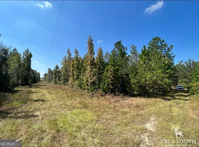 0 John S Horton Rd, Home with 0 bedrooms, 0 bathrooms and null parking in Adrian GA | Image 20