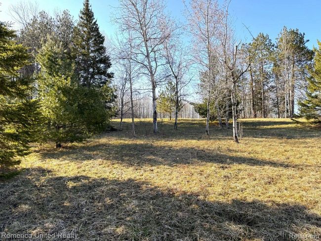 4052 S River Rd, Home with 0 bedrooms, 0 bathrooms and null parking in Cheboygan MI | Image 11