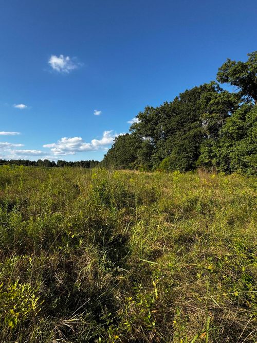4 County Road 2793, CLARK, MO, 65243 | Card Image