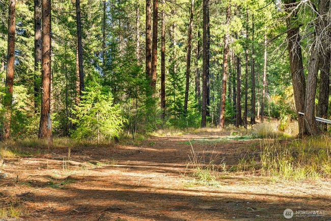 0 S Shugart Flats Rd, Home with 0 bedrooms, 0 bathrooms and null parking in Leavenworth WA | Image 32