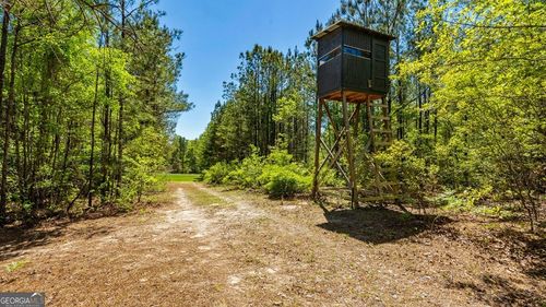 0 Wainwright Rd, Butler, GA, 31006 | Card Image