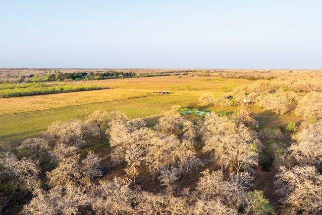 343 Batey Rd, Home with 3 bedrooms, 2 bathrooms and null parking in Nixon TX | Image 14