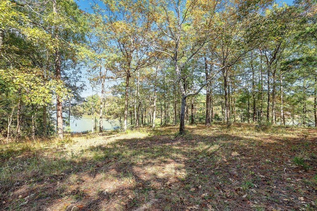 Land in Willis 4