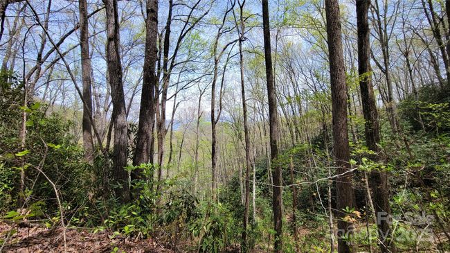 27 - 27 Lacy Fern Rdg, Home with 0 bedrooms, 0 bathrooms and null parking in Sylva NC | Image 18