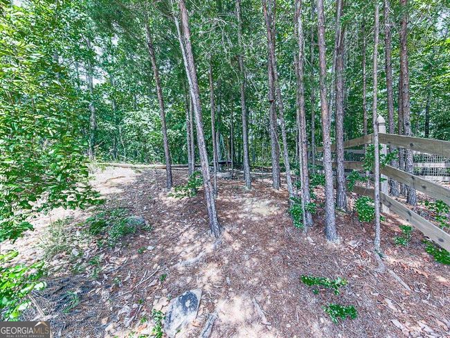 314 Sky High Trl, House other with 4 bedrooms, 3 bathrooms and null parking in Canton GA | Image 45