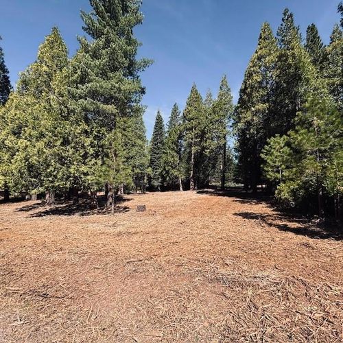 790 Red River Dr, Lake Almanor, CA, 96137-9692 | Card Image