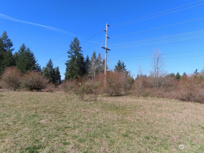 B - 107 Avery Rd W, Home with 0 bedrooms, 0 bathrooms and null parking in Napavine WA | Image 32