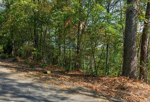 L81 Lillie Dr, Ellijay, GA, 30540 | Card Image