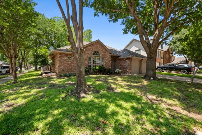 Beautiful corner lot with towering tress | Image 4