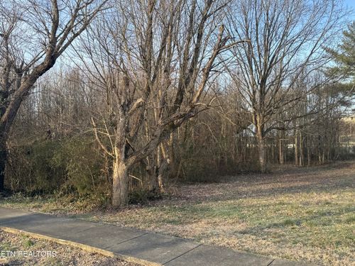 211 Babcock St, Tellico Plains, TN, 37385 | Card Image