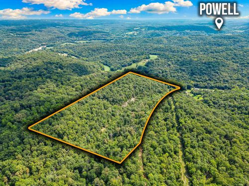 1106 Boone Hollow Rd, Powell, MO, 65730 | Card Image