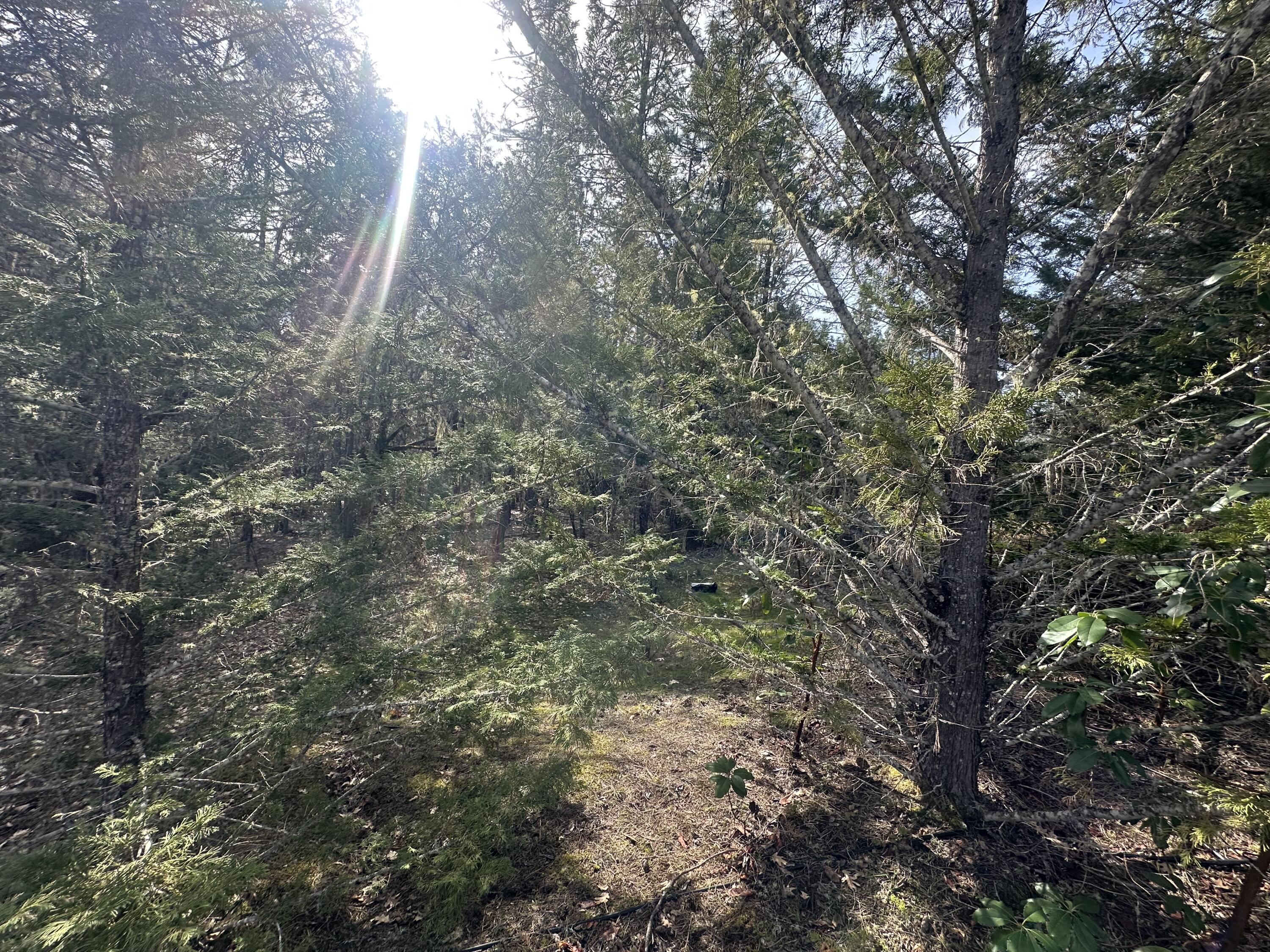 Land in Grants Pass 3