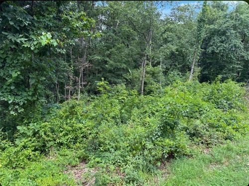 2 Baltes Dr, Bella Vista, AR, 72714-2905 | Card Image