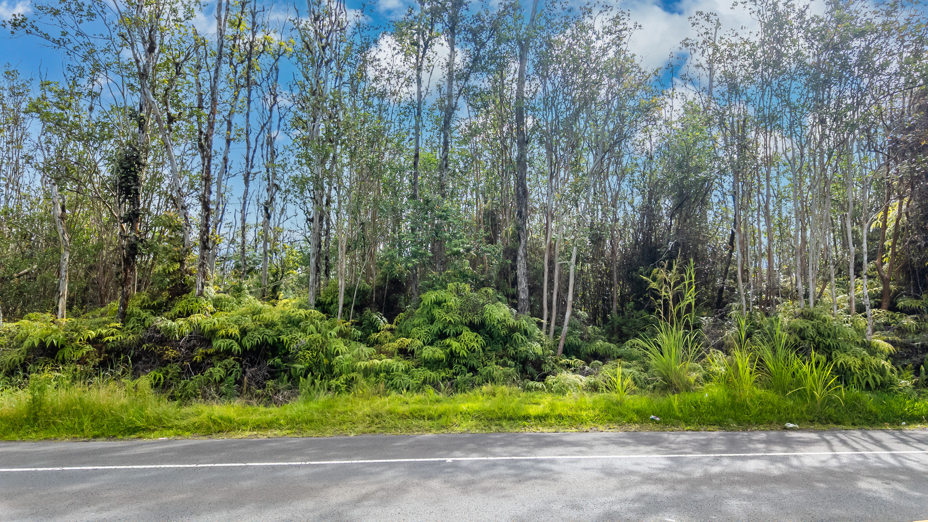 Land in Keaau 2