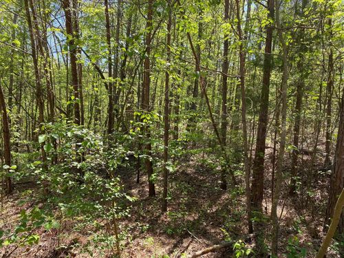 0 Hwy 69, Saltillo, TN, 38370 | Card Image