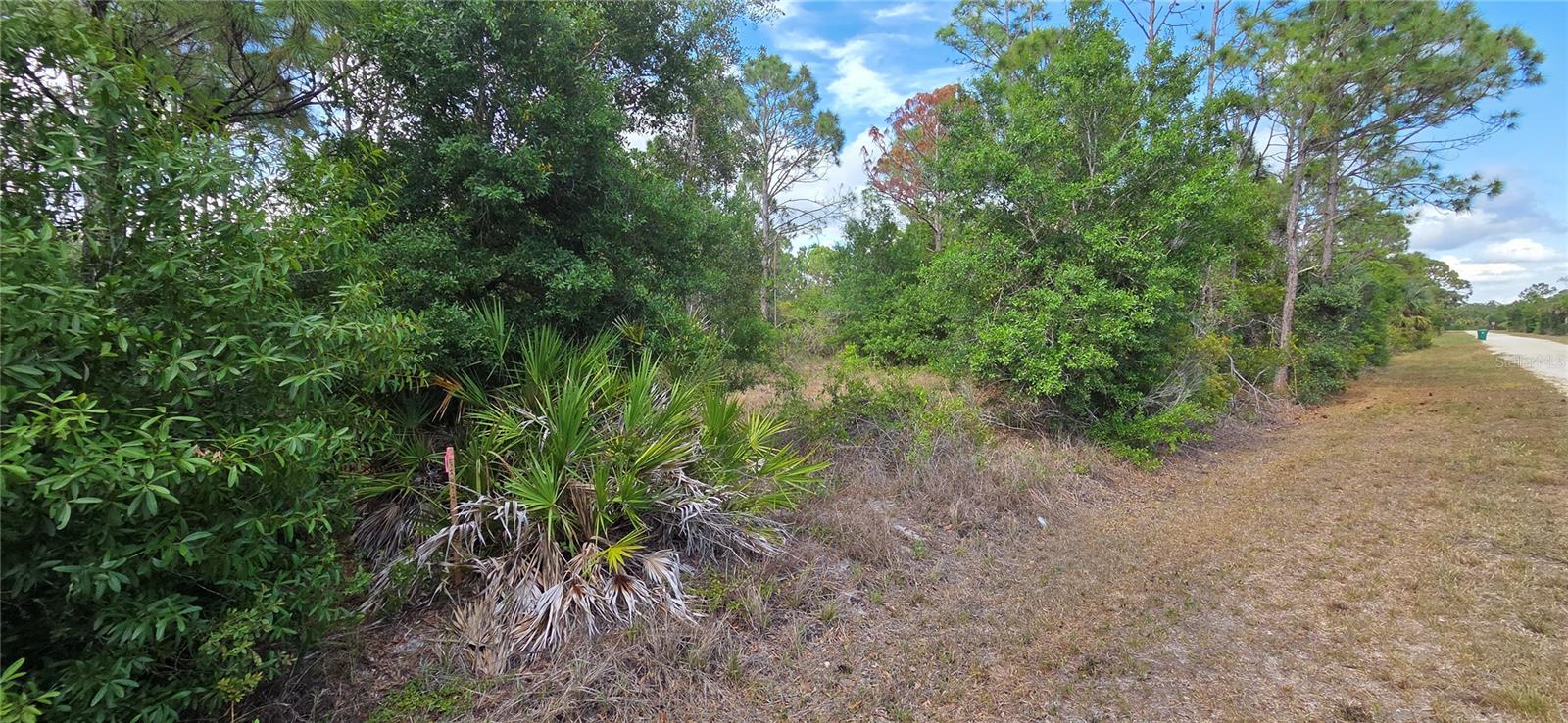 Land in PUNTA GORDA 3