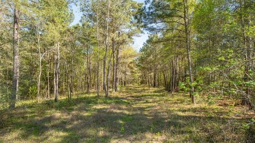 000 Bighorn Road, New Waverly, TX, 77358 | Card Image