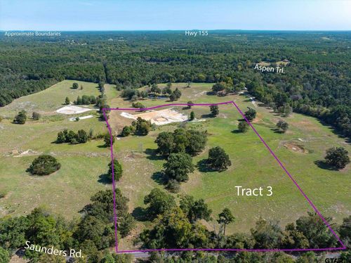 Tract 3 Saunders Road, Big Sandy, TX, 75755 | Card Image