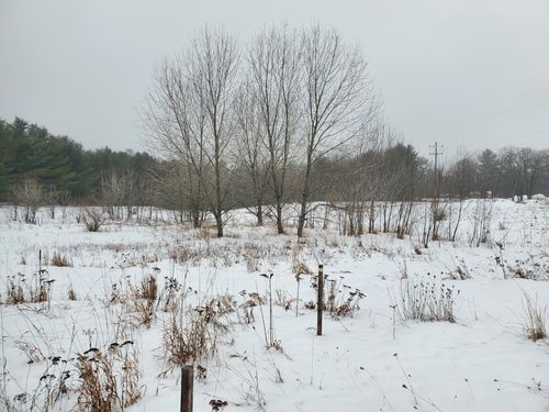 2788 Greenwood Rd, Prescott, MI, 48756-9174 | Card Image