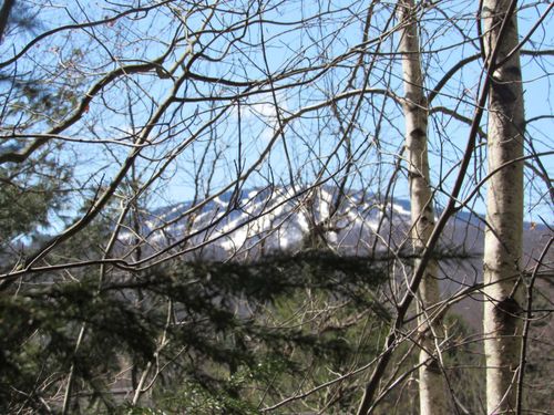 0 Stratton Ridge Rd, Bondville, VT, 05340 | Card Image