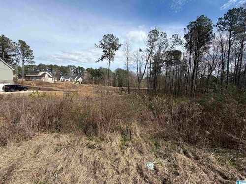 66-1116 Baylor Court, Pell City, AL, 35128 | Card Image