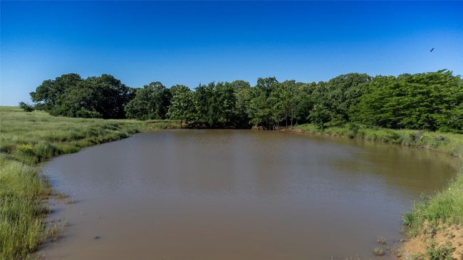 1761 Brooks Ln, Home with 0 bedrooms, 0 bathrooms and null parking in Sadler TX | Image 21