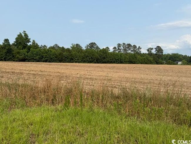 8 Mack Rd, Home with 0 bedrooms, 0 bathrooms and null parking in Conway SC | Image 8
