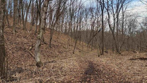 0000 Vineyard Road, Prairie Du Chien, WI, 53821 | Card Image