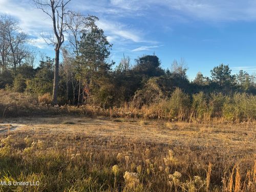 12 Acres Parker Road, McHenry, MS, 39561 | Card Image