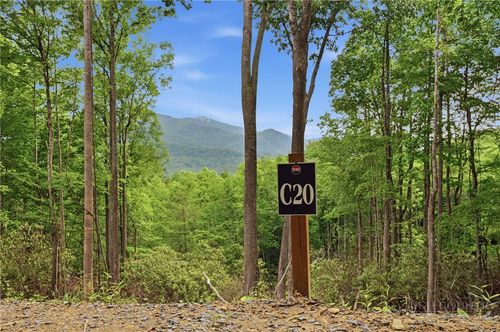 C20 Autumnwood Trace, Elk Park, NC, 28622 | Card Image