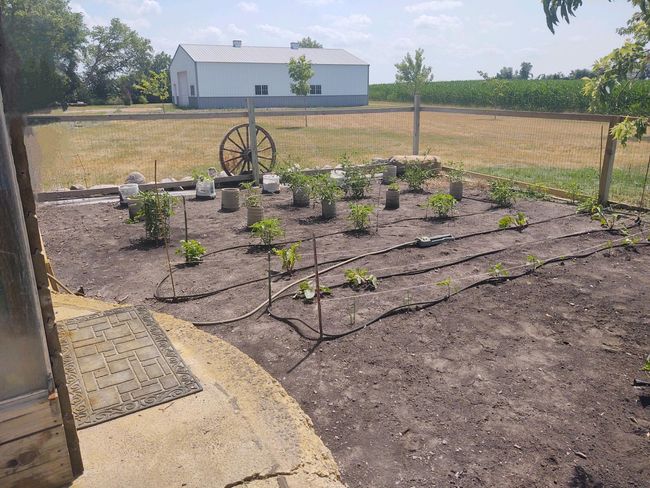 Garden | Image 91