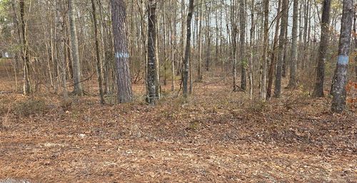 0 Lee Road 0143, Salem, AL, 36874 | Card Image